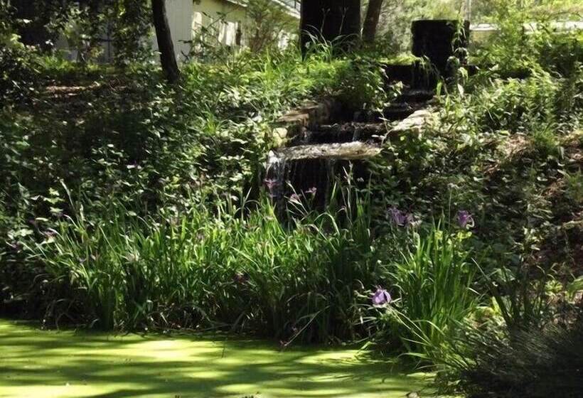 בית מלון כפרי Backyard Garden Oasis