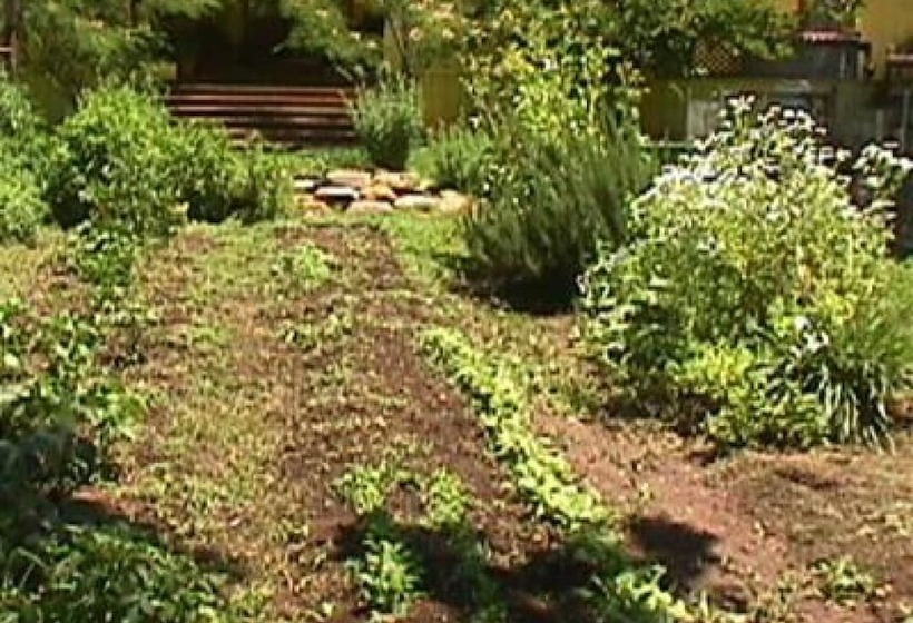 בית מלון כפרי Backyard Garden Oasis
