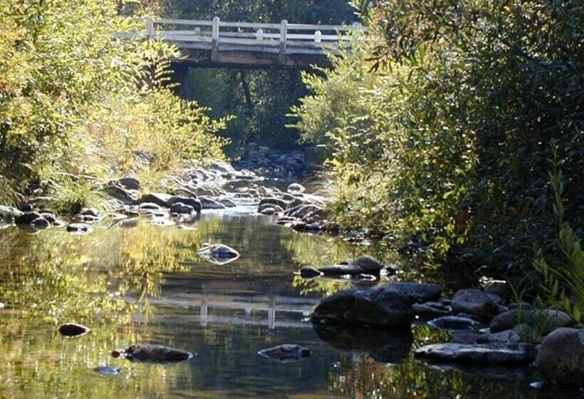 בית מלון כפרי Backyard Garden Oasis