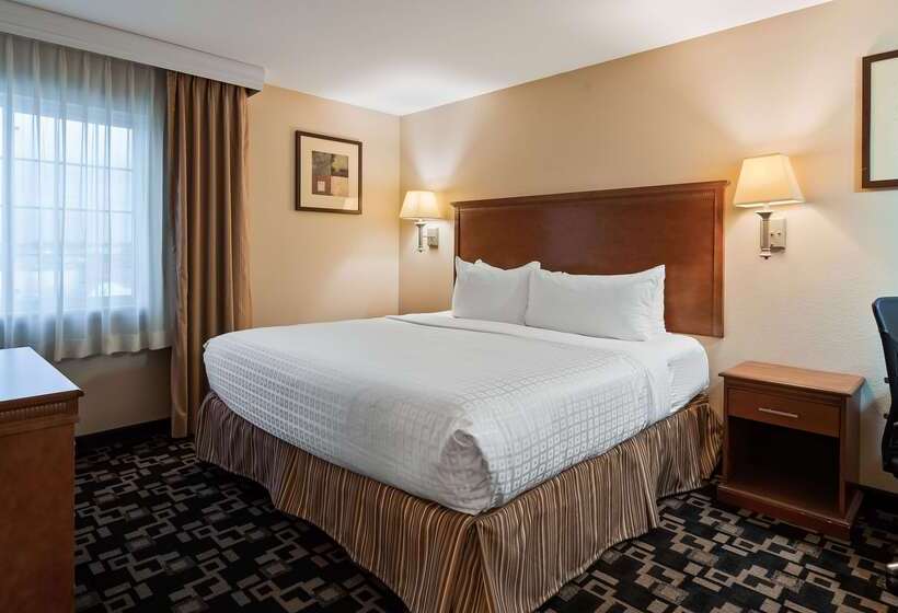 فندق Best Western Plus Wausau Rothschild