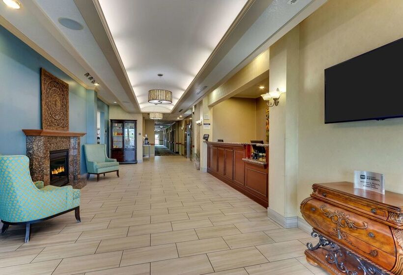 فندق Comfort Inn & Suites