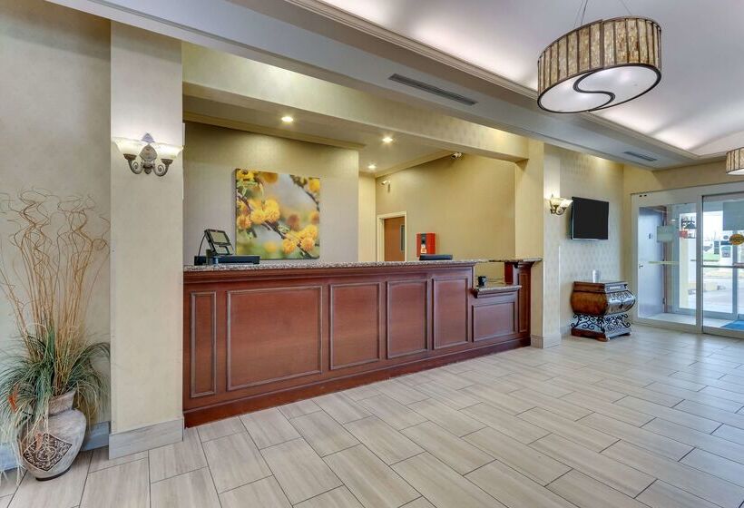 فندق Comfort Inn & Suites