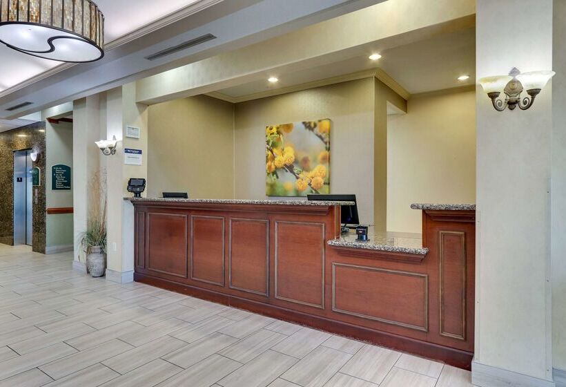 فندق Comfort Inn & Suites