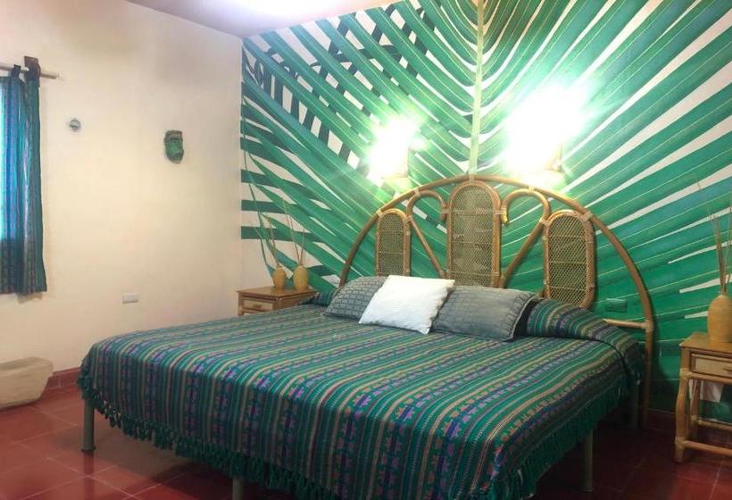 هتل Capital O Casa Hamaca