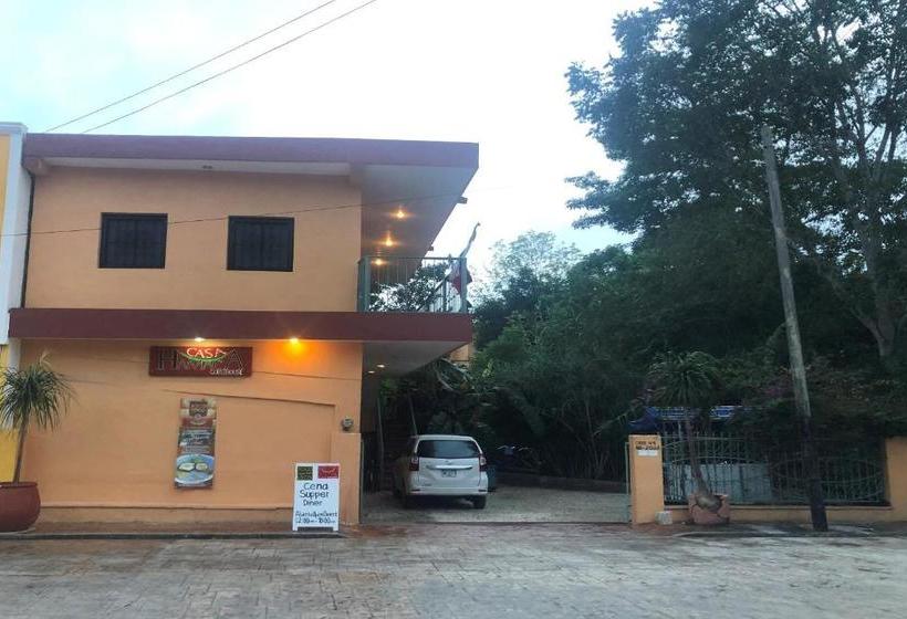 هتل Capital O Casa Hamaca