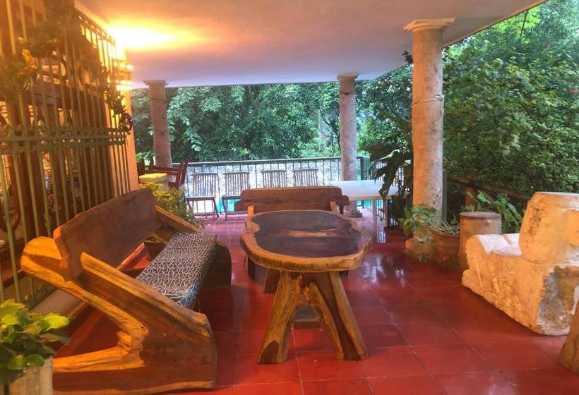 هتل Capital O Casa Hamaca