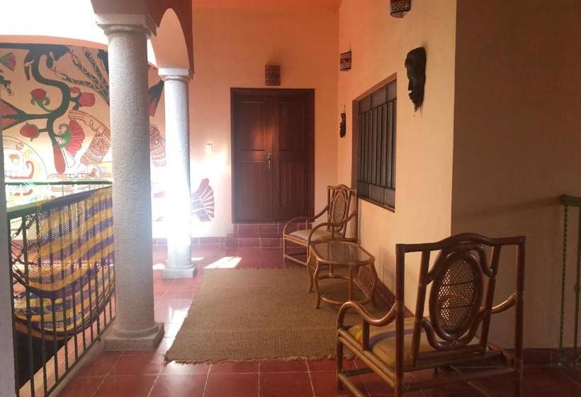 هتل Capital O Casa Hamaca