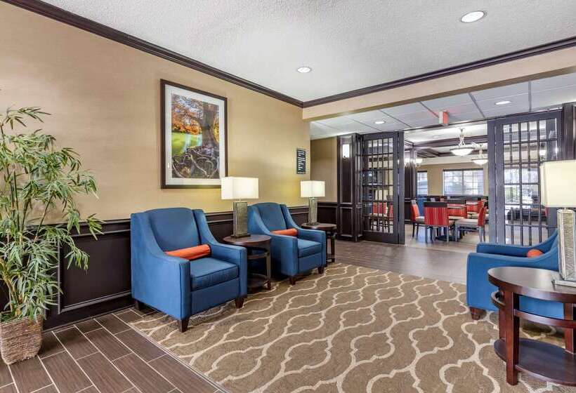 Отель Comfort Inn & Suites Texas Hill Country