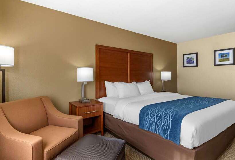 Отель Comfort Inn & Suites Texas Hill Country