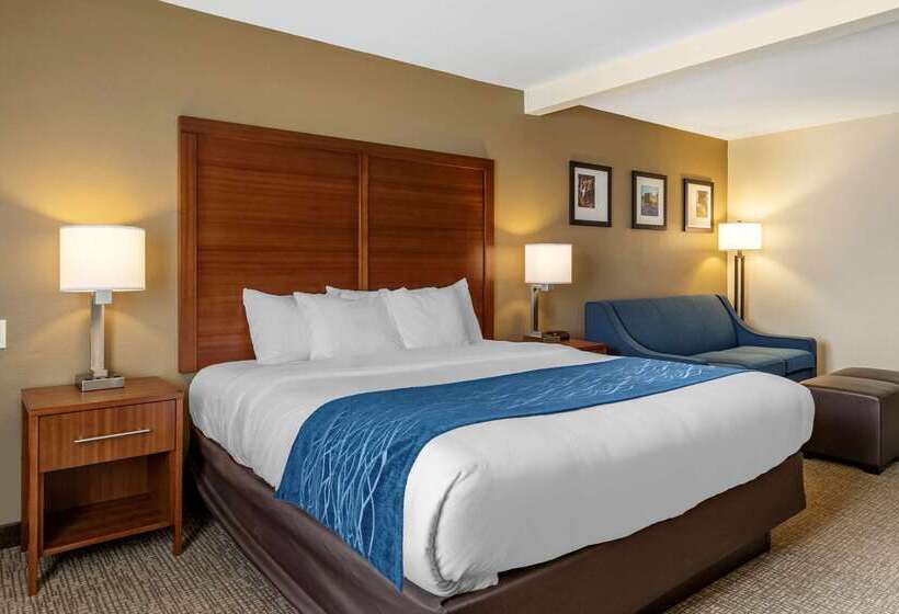 Отель Comfort Inn & Suites Texas Hill Country