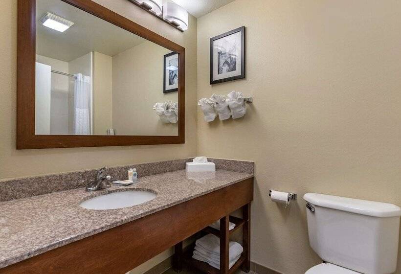 Отель Comfort Inn & Suites Texas Hill Country