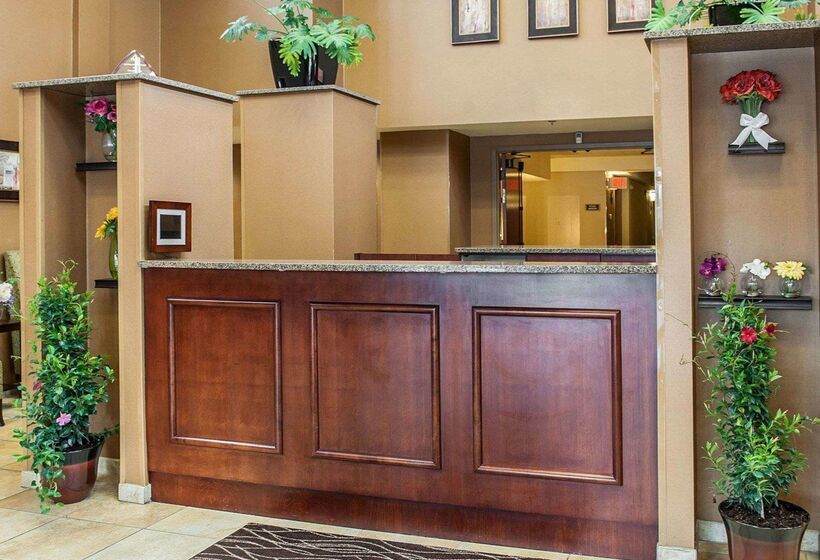 ホテル Comfort Inn Bloomington Near University