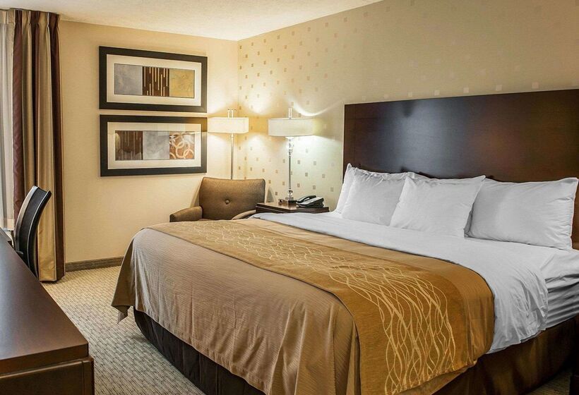 ホテル Comfort Inn Bloomington Near University