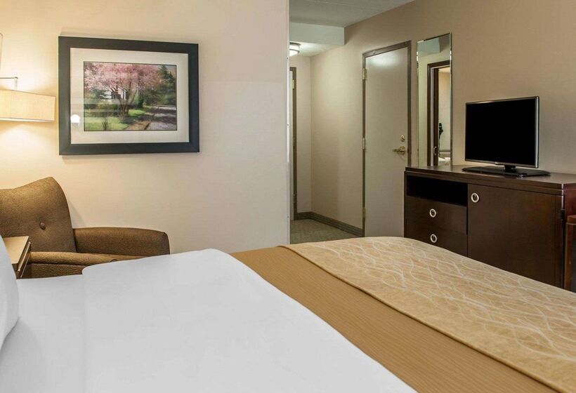 ホテル Comfort Inn Bloomington Near University