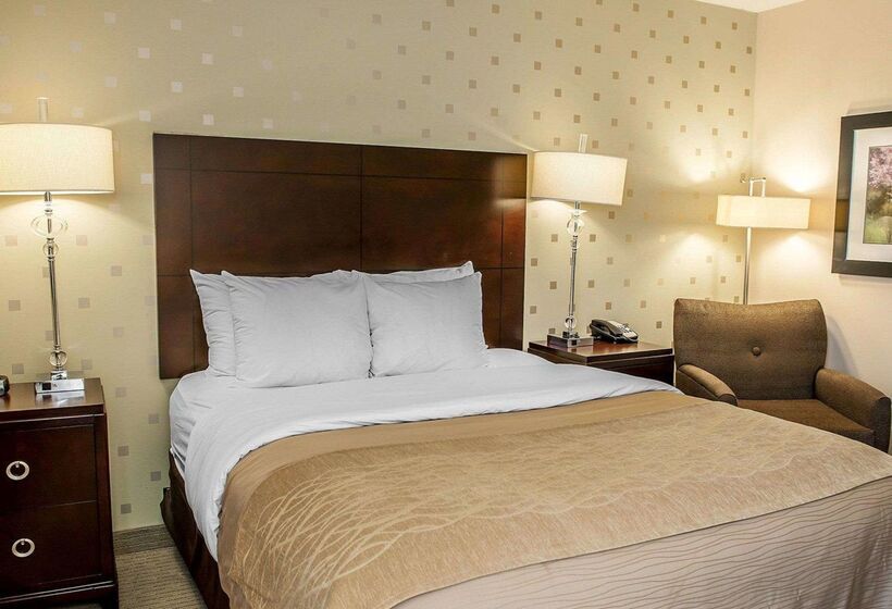 ホテル Comfort Inn Bloomington Near University