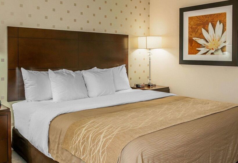 ホテル Comfort Inn Bloomington Near University