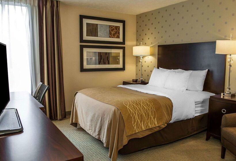 ホテル Comfort Inn Bloomington Near University