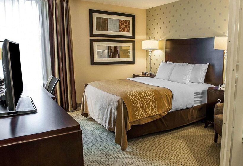 ホテル Comfort Inn Bloomington Near University