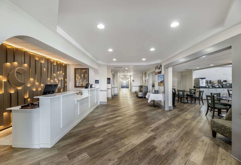 فندق Comfort Inn & Suites