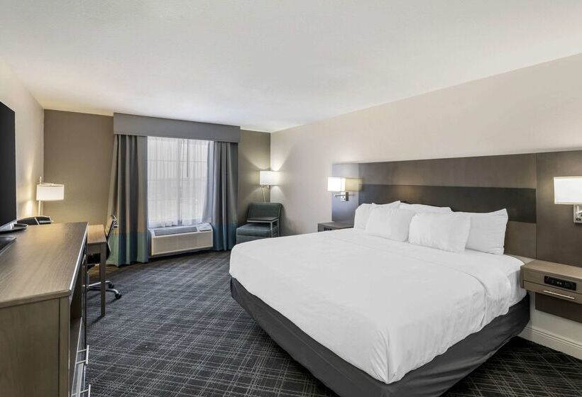 فندق Comfort Inn & Suites