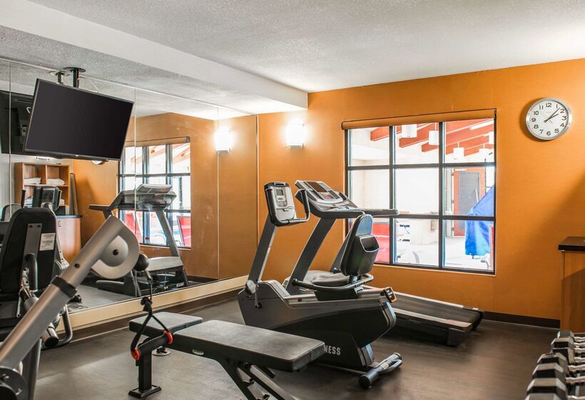 酒店 Comfort Suites Panama City Near Tyndall Afb