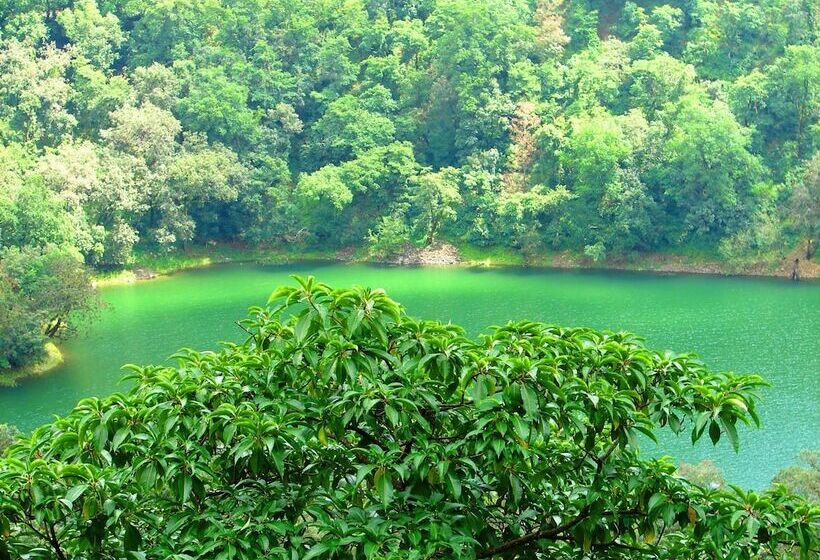 בית מלון כפרי Country Inn Sattal