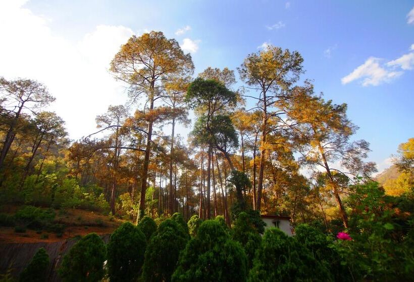 בית מלון כפרי Country Inn Sattal