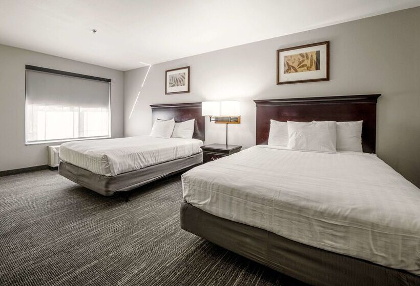 בית מלון כפרי Country Inn & Suites By Radisson, Ontario At Ontario Mills, Ca