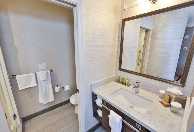 فندق Doubletree By Hilton Atlanta  Alpharetta