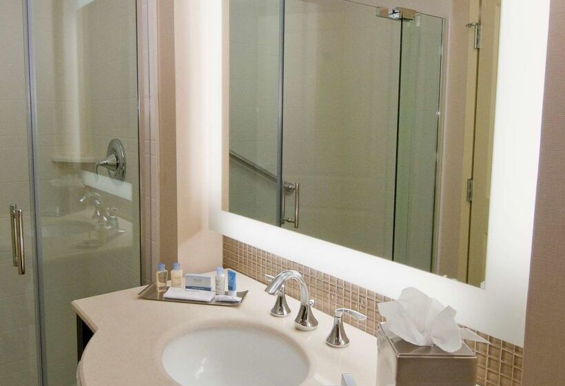 ホテル Doubletree By Hilton Sterling Dulles Airport