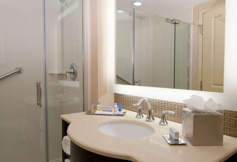 ホテル Doubletree By Hilton Sterling Dulles Airport