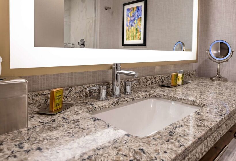 Отель Doubletree By Hilton Dallas   Farmers Branch