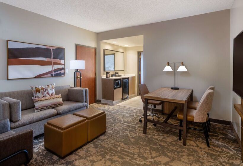 酒店 Embassy Suites By Hilton Albuquerque