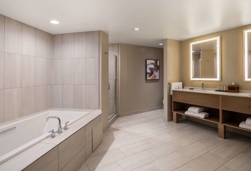 酒店 Embassy Suites By Hilton Albuquerque