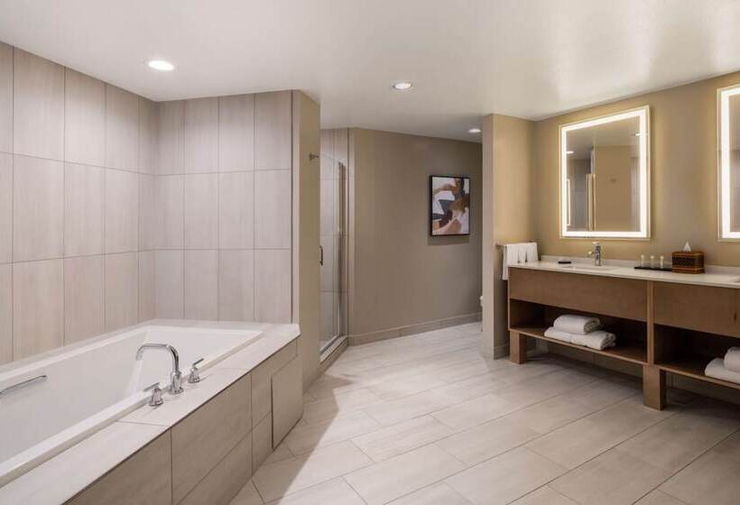 酒店 Embassy Suites By Hilton Albuquerque