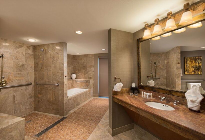 Embassy Suites By Hilton Dallas Frisco Hotel & Convention Center