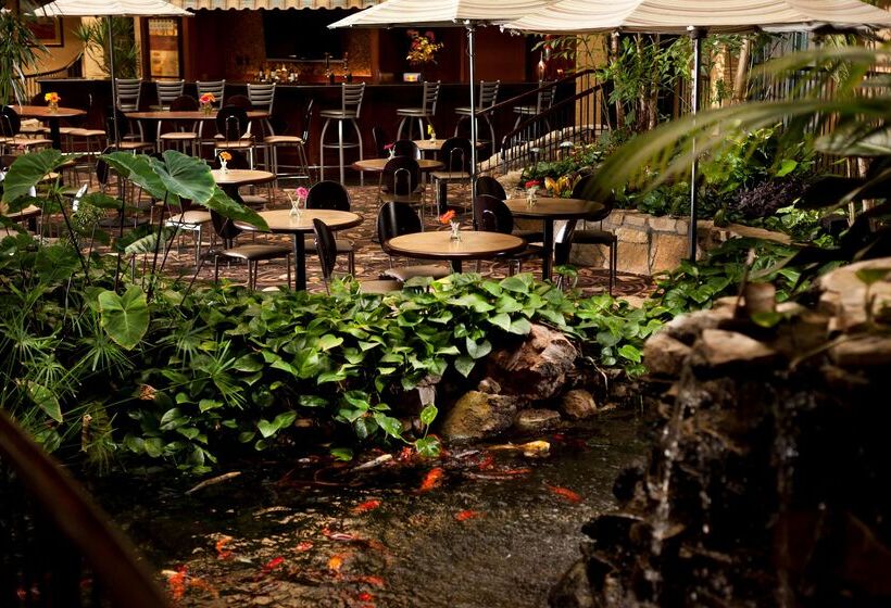 호텔 Embassy Suites Lubbock