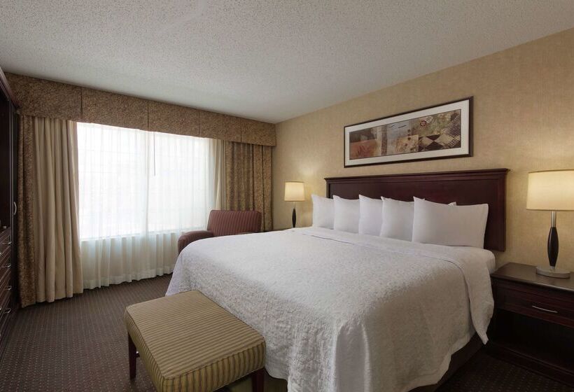 호텔 Embassy Suites Lubbock