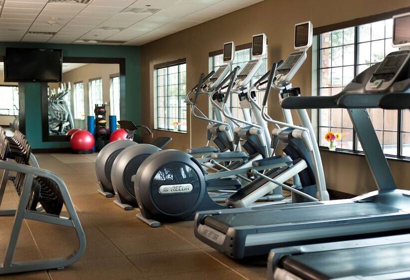 호텔 Embassy Suites Lubbock