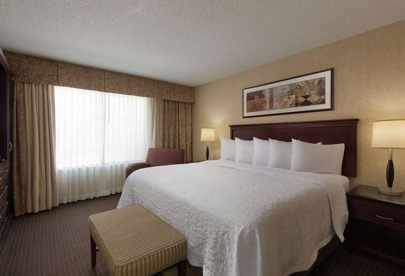 호텔 Embassy Suites Lubbock