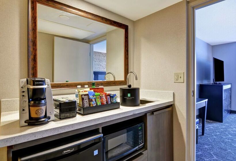 호텔 Embassy Suites By Hilton Minneapolisairport