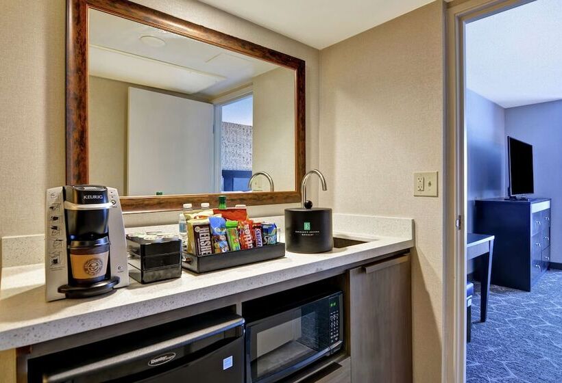 호텔 Embassy Suites By Hilton Minneapolisairport