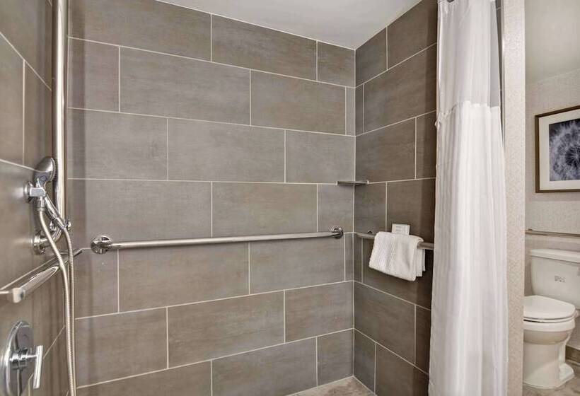 호텔 Embassy Suites By Hilton Minneapolisairport