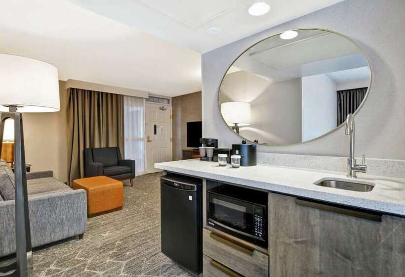 호텔 Embassy Suites By Hilton Minneapolisairport