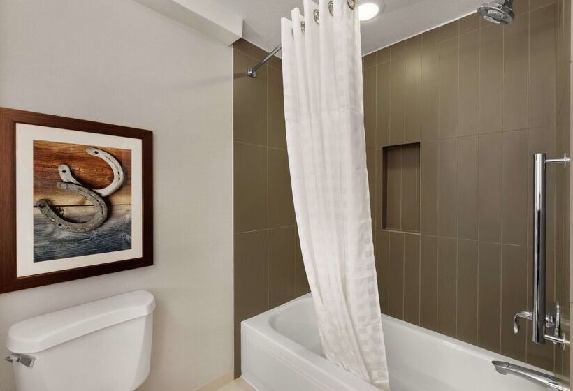 ホテル Embassy Suites By Hilton Dallas Dfw Airport North