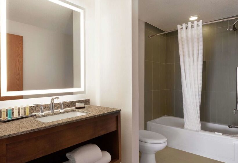 בית מלון כפרי Embassy Suites By Hilton Dallas Dfw Airport North