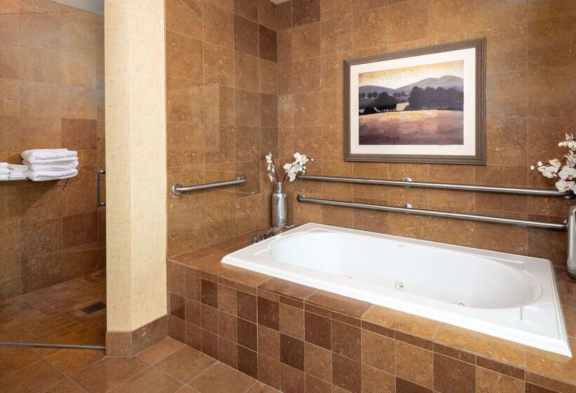 Embassy Suites Omaha La Vista/hotel & Conference Center