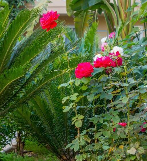 בית מלון כפרי Futura