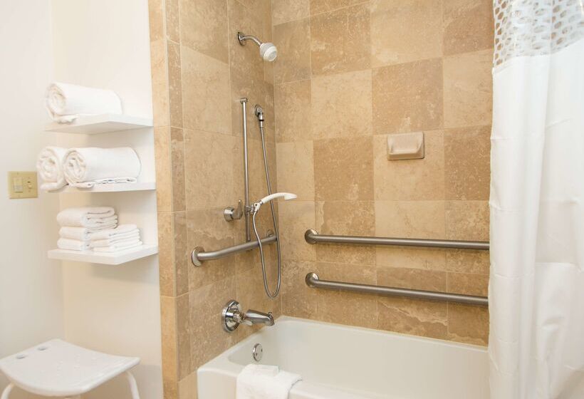 בית מלון כפרי Hampton Inn & Suites Albany Downtown