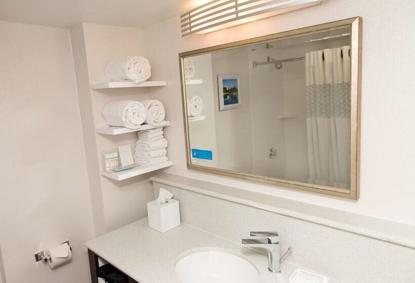 בית מלון כפרי Hampton Inn & Suites Albany Downtown